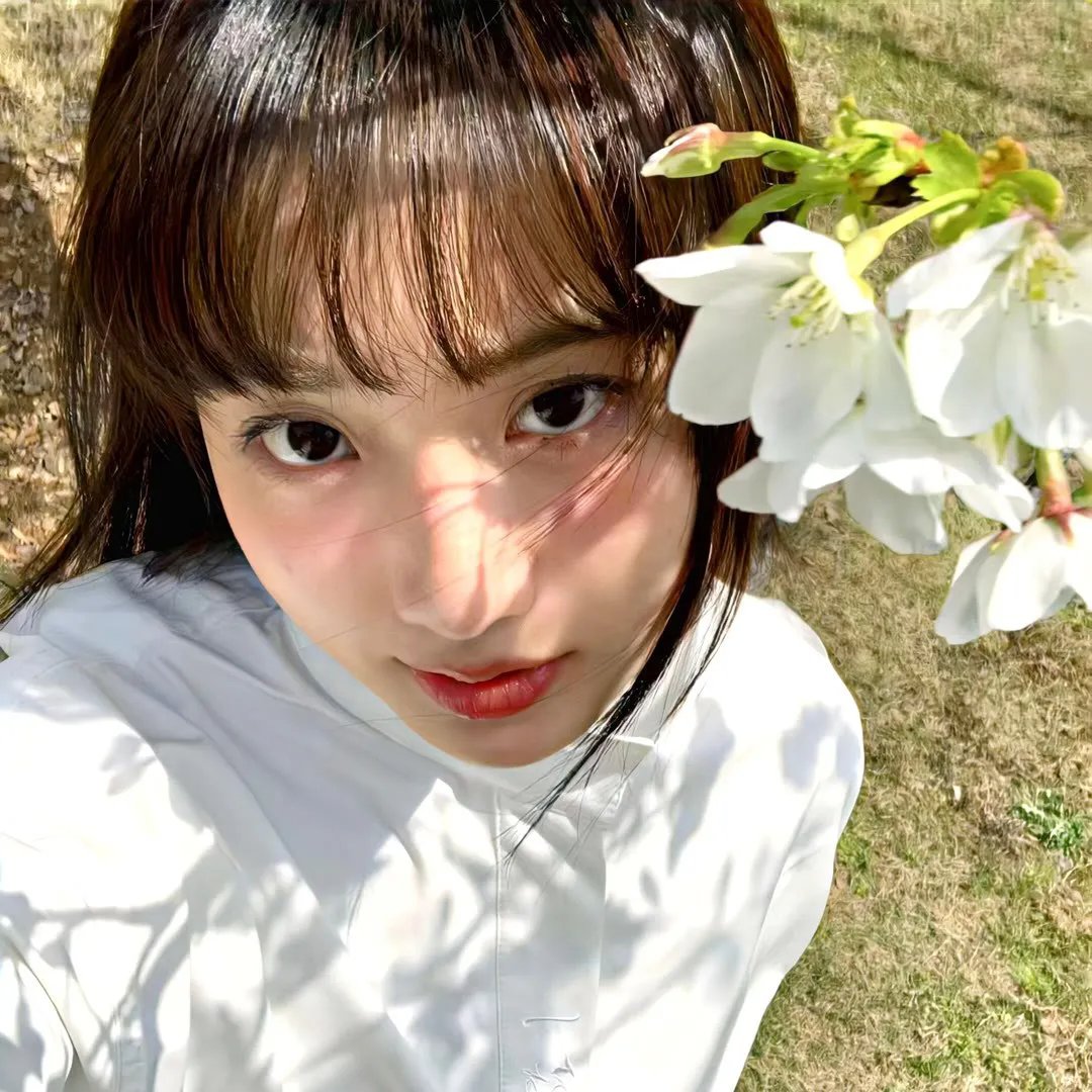 叔比狗与女巫之鬼